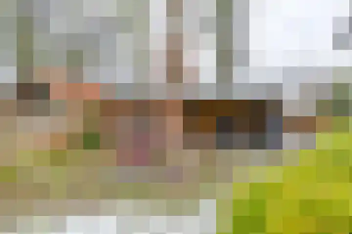 Zuiderdiep 53 2e Exloërmond thumbnail 57
