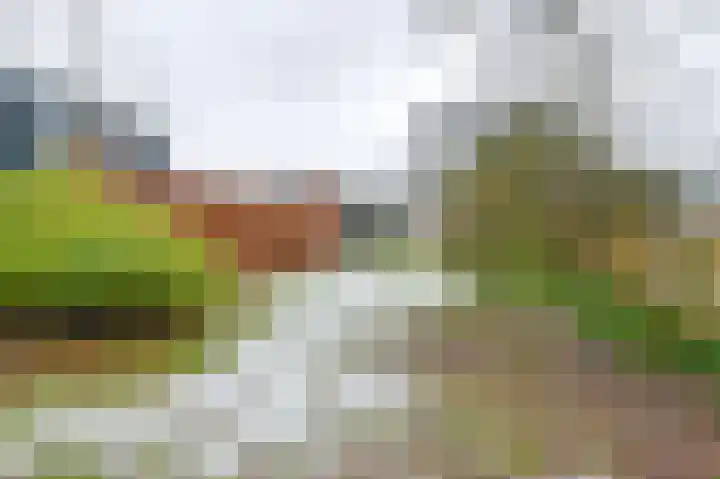 Zuiderdiep 53 2e Exloërmond thumbnail 58