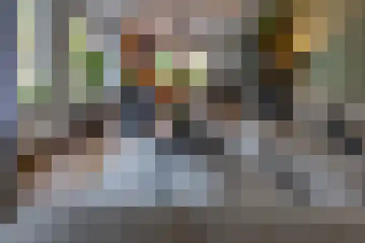 Zuiderdiep 536 Valthermond thumbnail 10