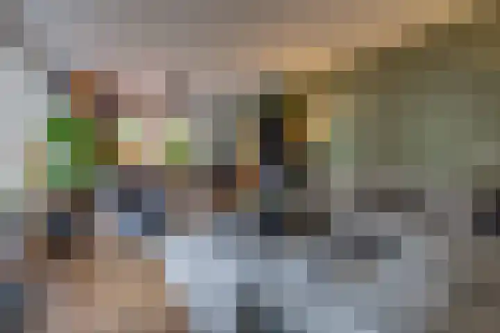 Zuiderdiep 536 Valthermond thumbnail 11