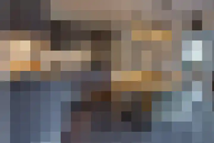 Zuiderdiep 536 Valthermond thumbnail 14
