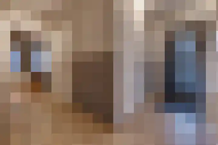 Zuiderdiep 536 Valthermond thumbnail 19