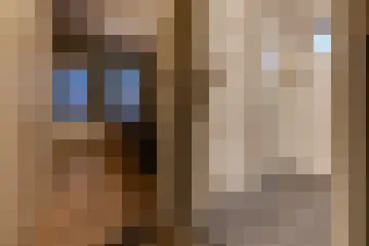 Zuiderdiep 536 Valthermond thumbnail 20