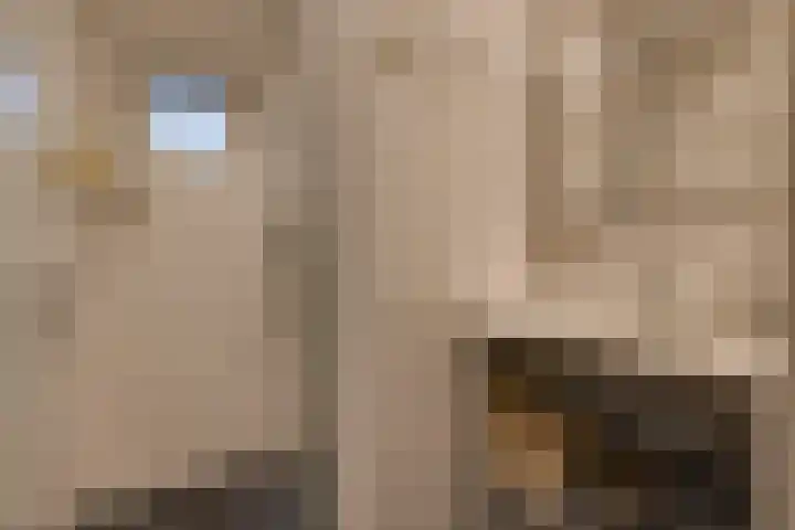 Zuiderdiep 536 Valthermond thumbnail 21