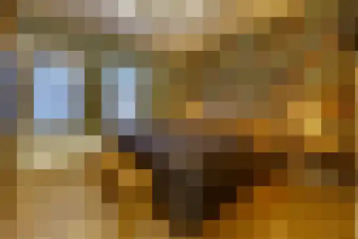 Zuiderdiep 536 Valthermond thumbnail 22