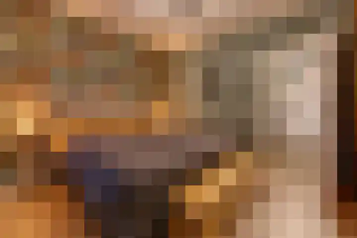 Zuiderdiep 536 Valthermond thumbnail 23