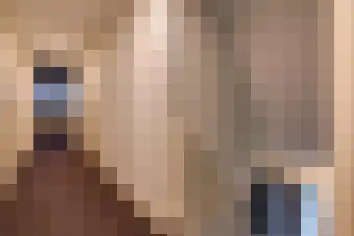 Zuiderdiep 536 Valthermond thumbnail 26