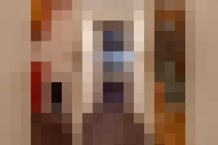 Zuiderdiep 536 Valthermond thumbnail 27