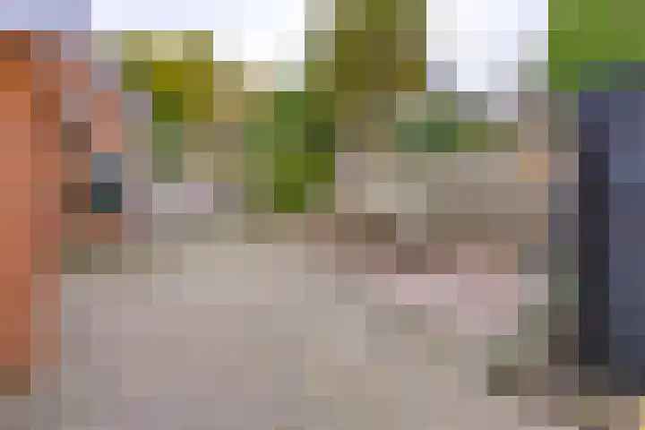 Zuiderdiep 536 Valthermond thumbnail 33