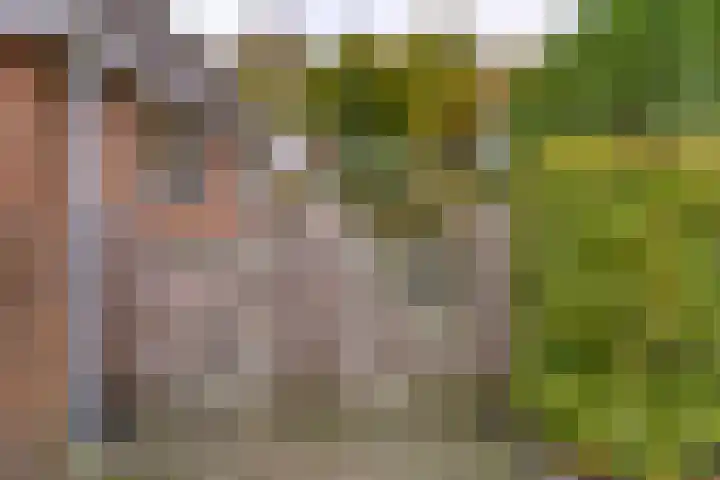 Zuiderdiep 536 Valthermond thumbnail 34
