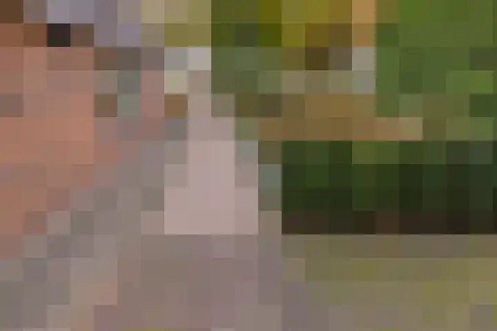 Zuiderdiep 536 Valthermond thumbnail 35