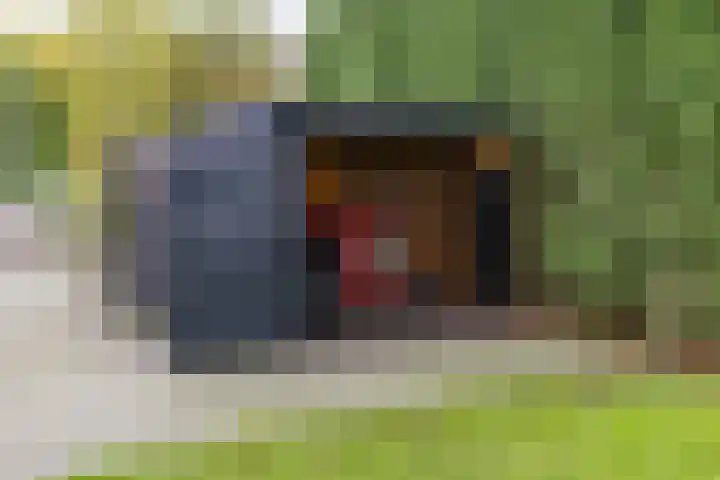 Zuiderdiep 536 Valthermond thumbnail 38