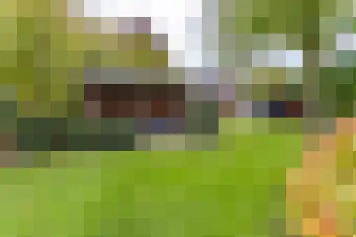 Zuiderdiep 536 Valthermond thumbnail 39