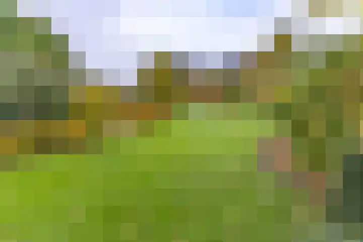 Zuiderdiep 536 Valthermond thumbnail 41