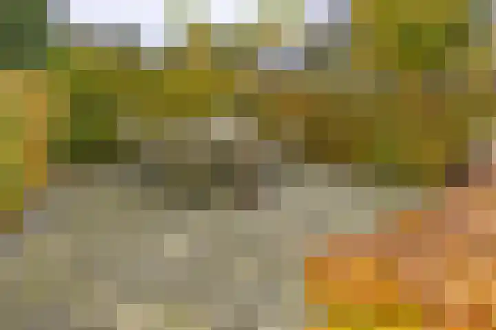 Zuiderdiep 536 Valthermond thumbnail 42