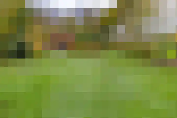 Zuiderdiep 536 Valthermond thumbnail 43