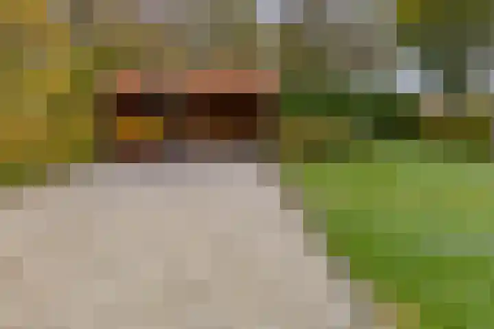 Zuiderdiep 536 Valthermond thumbnail 44