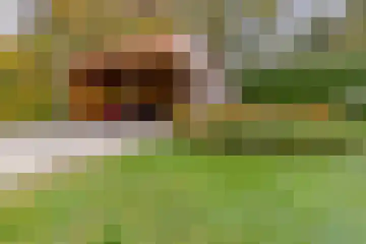 Zuiderdiep 536 Valthermond thumbnail 45