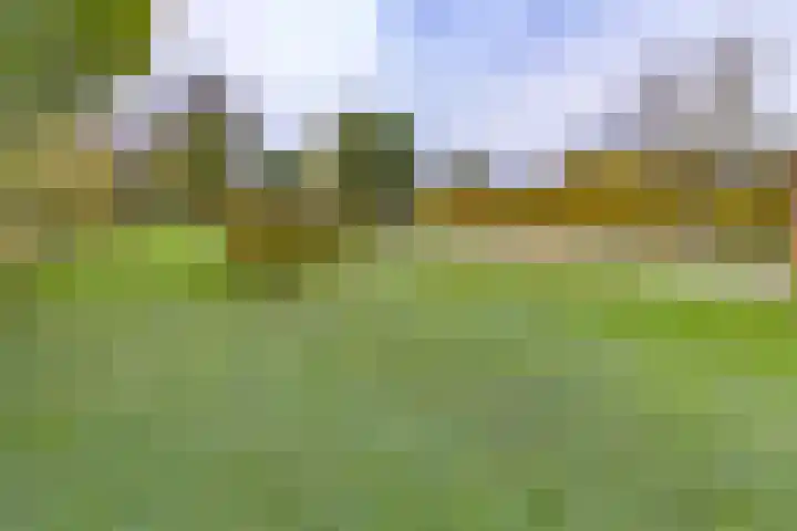 Zuiderdiep 536 Valthermond thumbnail 46