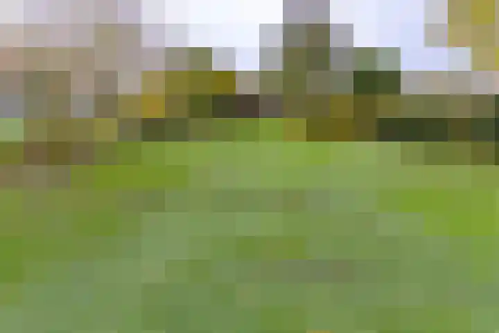 Zuiderdiep 536 Valthermond thumbnail 47