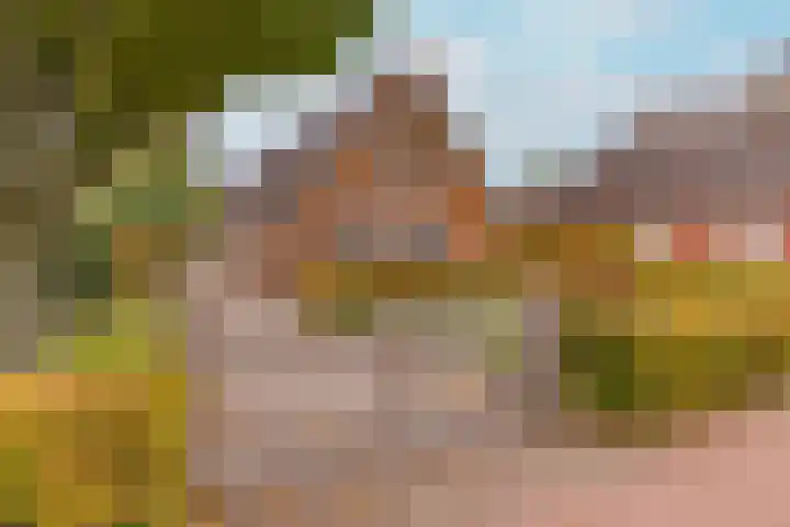 Zuiderdiep 536 Valthermond thumbnail 5