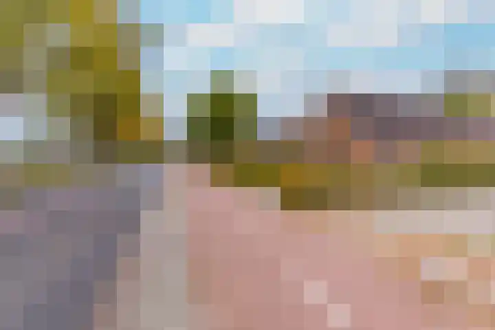 Zuiderdiep 536 Valthermond thumbnail 7