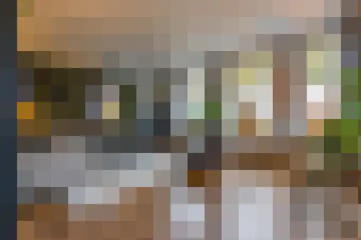 Zuiderdiep 536 Valthermond thumbnail 8
