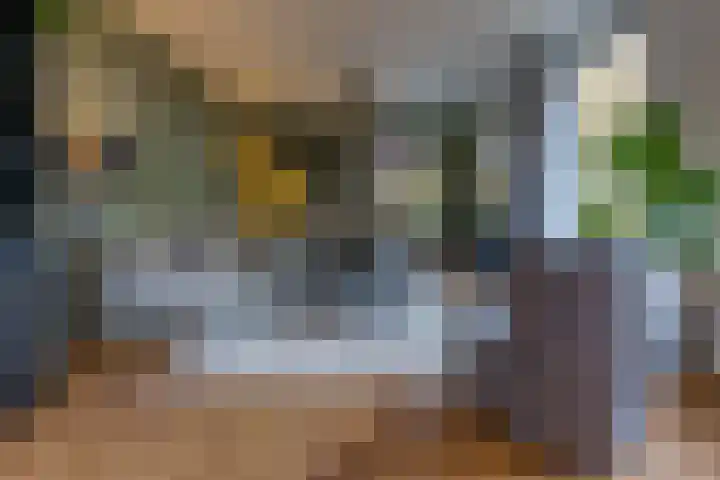 Zuiderdiep 536 Valthermond thumbnail 9