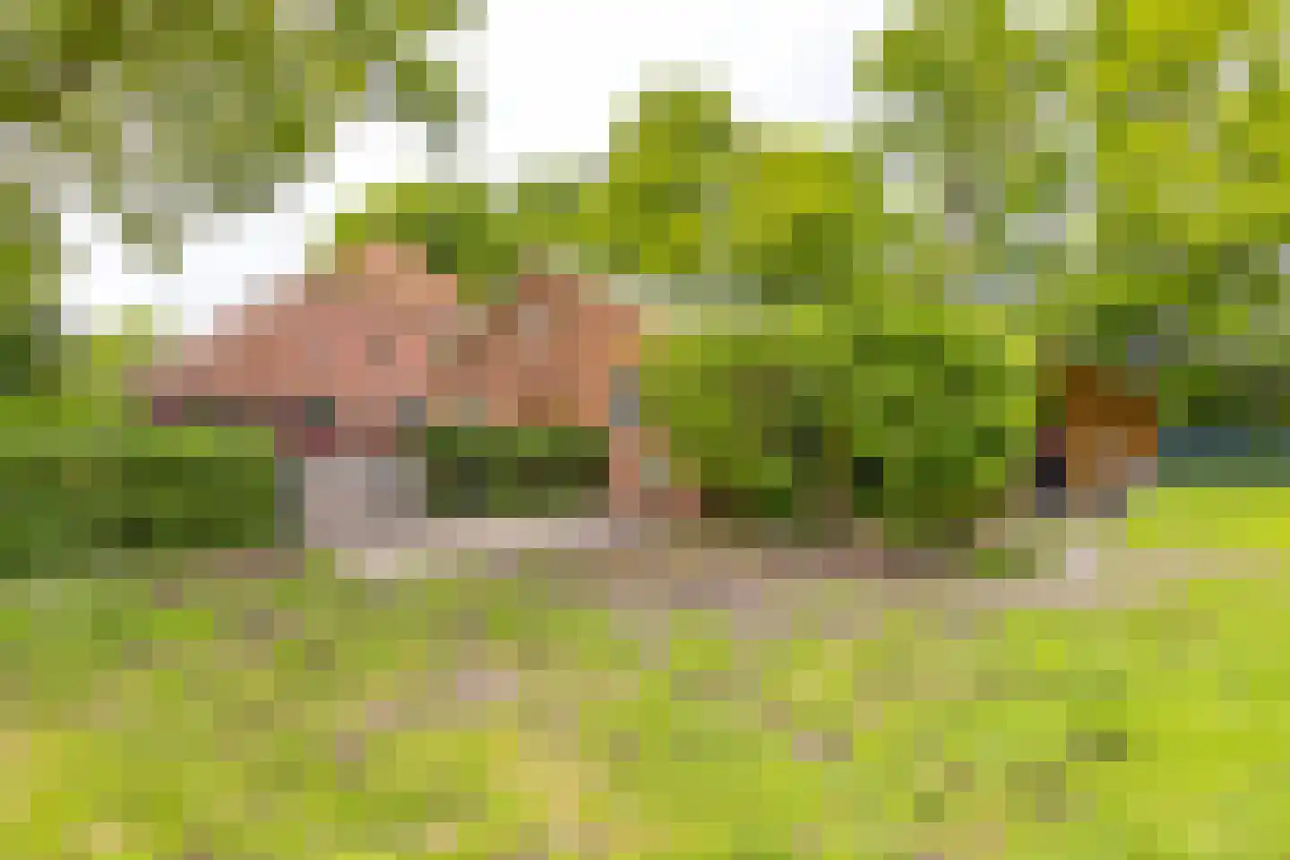 Zuiderdiep 557 Valthermond thumbnail 33