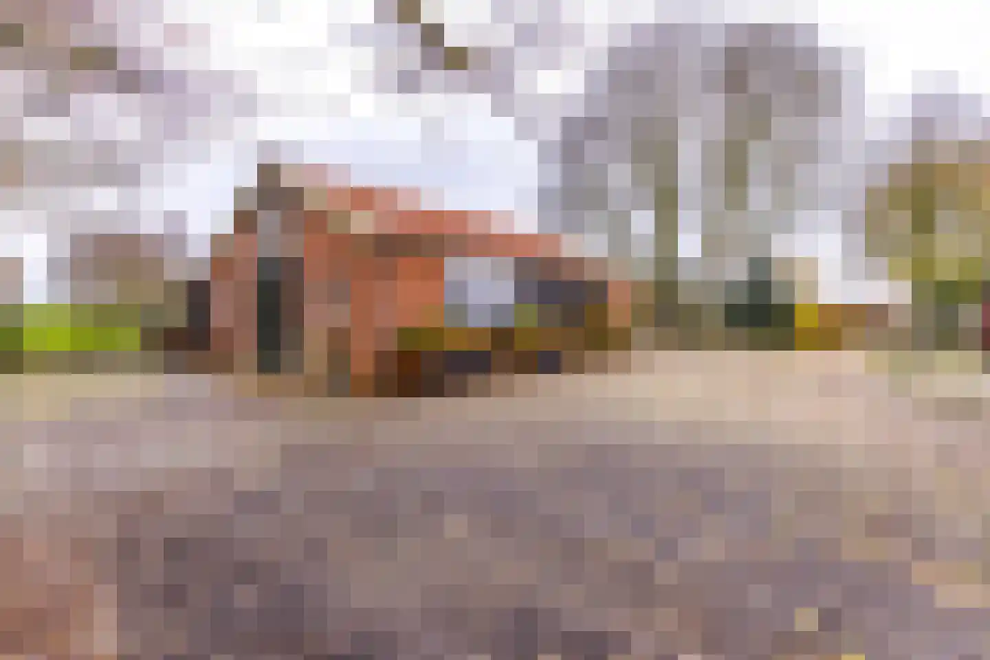 Zuiderdiep 557 Valthermond thumbnail 35