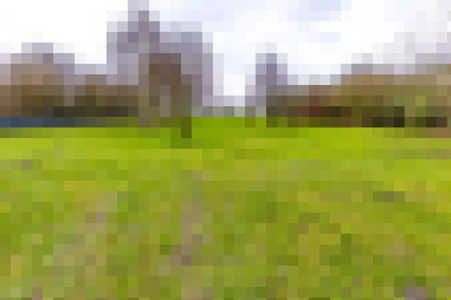 Zuiderdiep 557 Valthermond thumbnail 38
