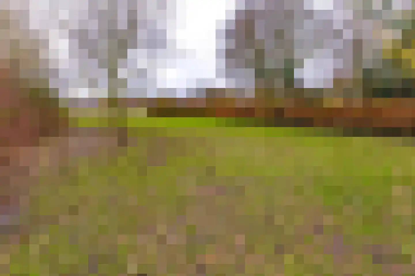 Zuiderdiep 557 Valthermond thumbnail 39