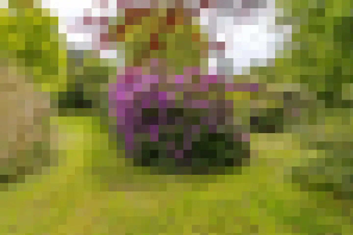 Zuiderdiep 557 Valthermond thumbnail 40