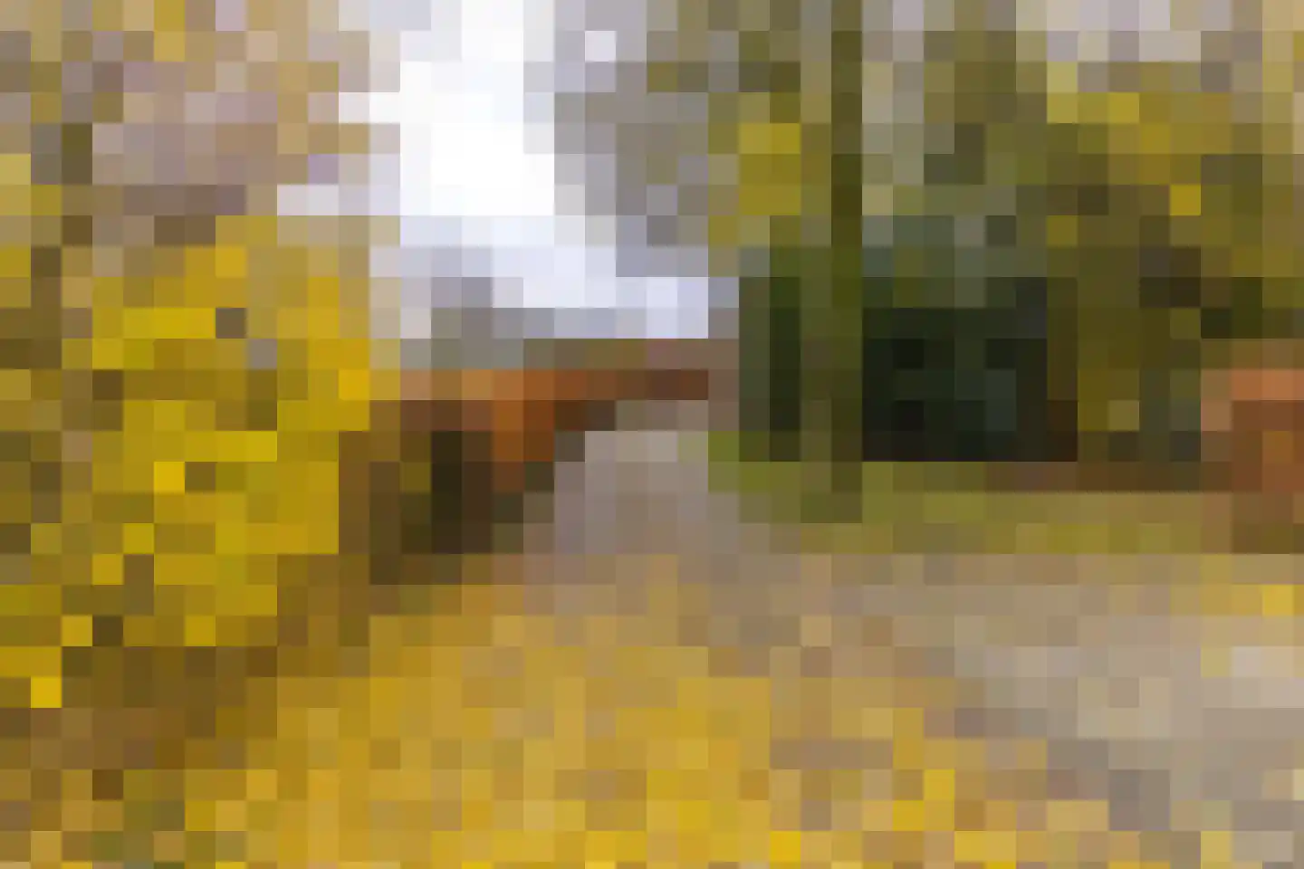 Zuiderdiep 557 Valthermond thumbnail 41