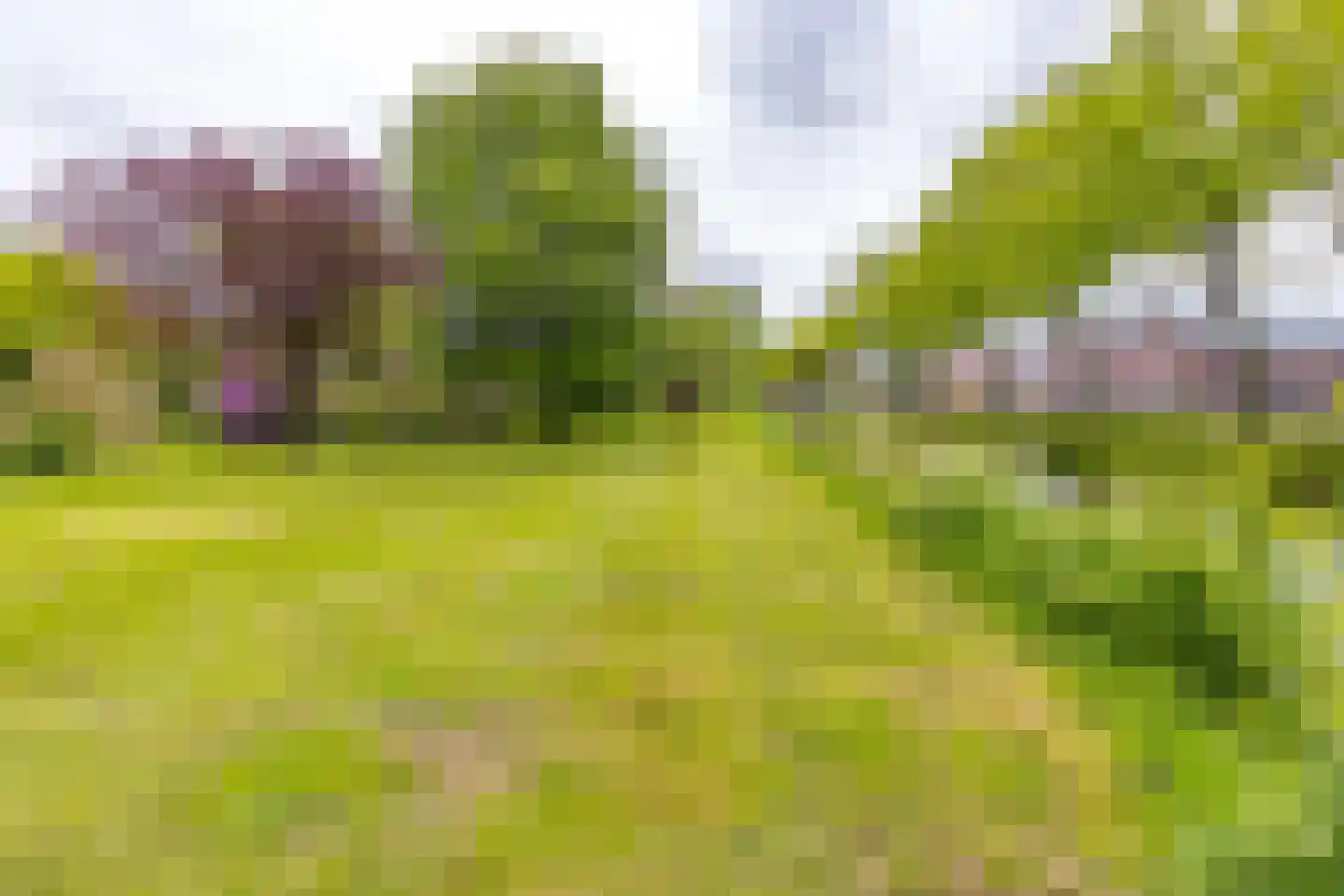 Zuiderdiep 557 Valthermond thumbnail 41