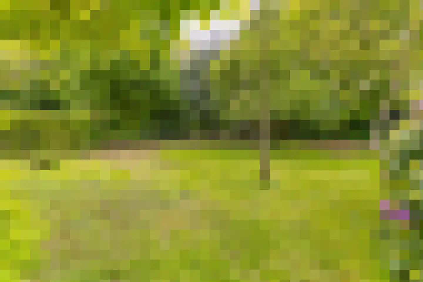 Zuiderdiep 557 Valthermond thumbnail 42