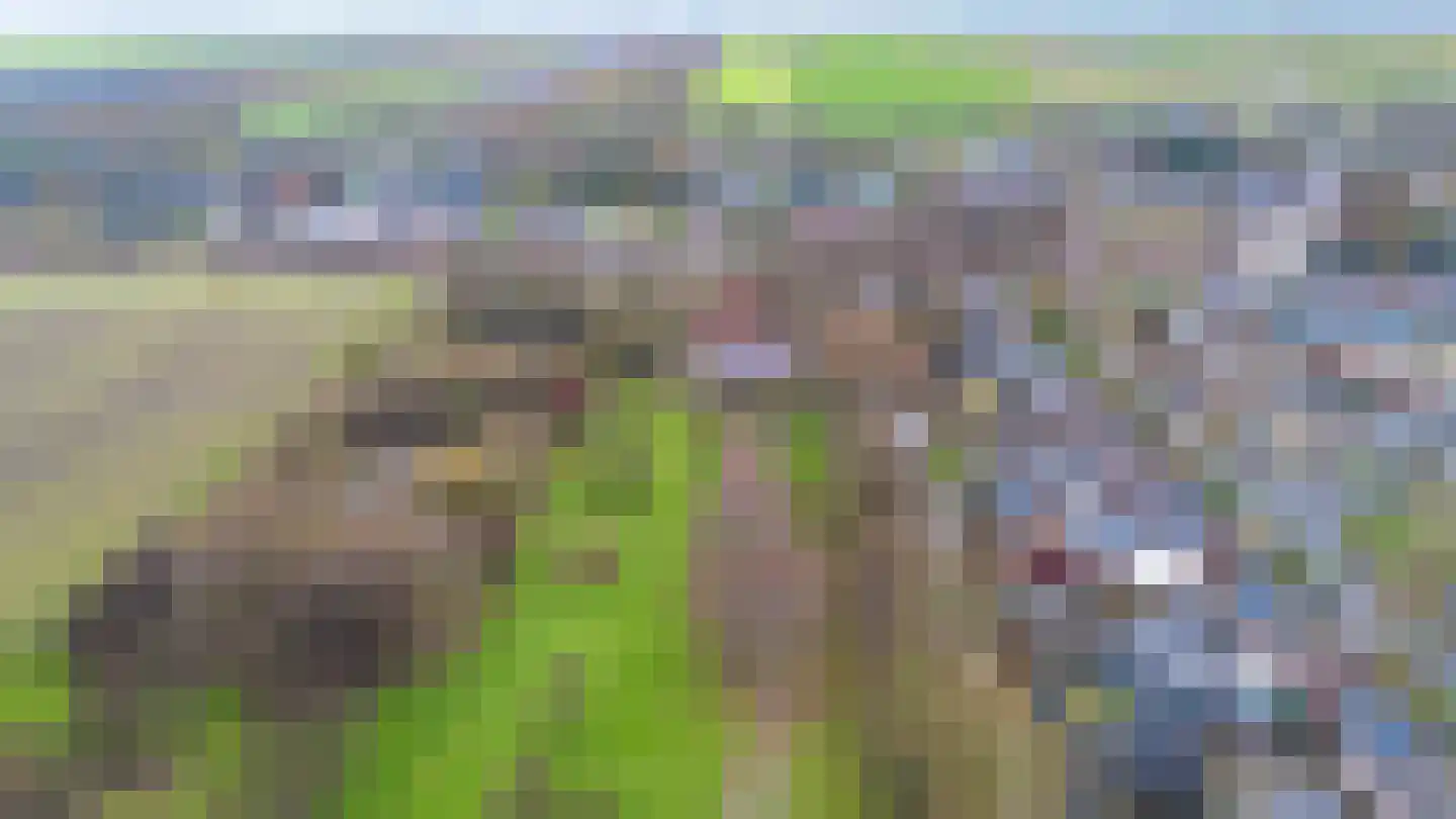 Zuiderdiep 557 Valthermond thumbnail 43