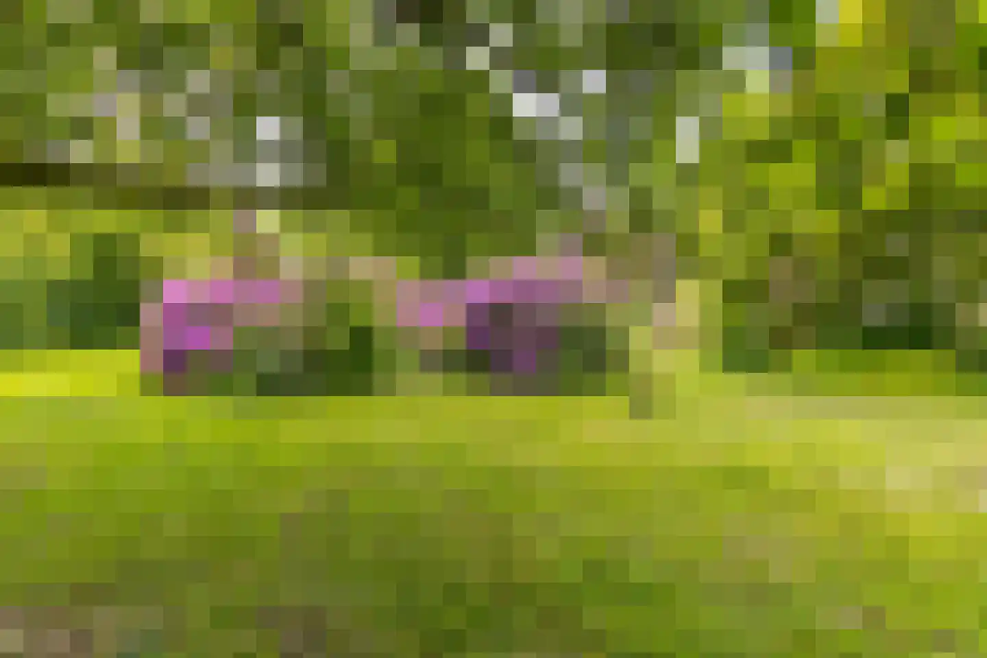 Zuiderdiep 557 Valthermond thumbnail 43