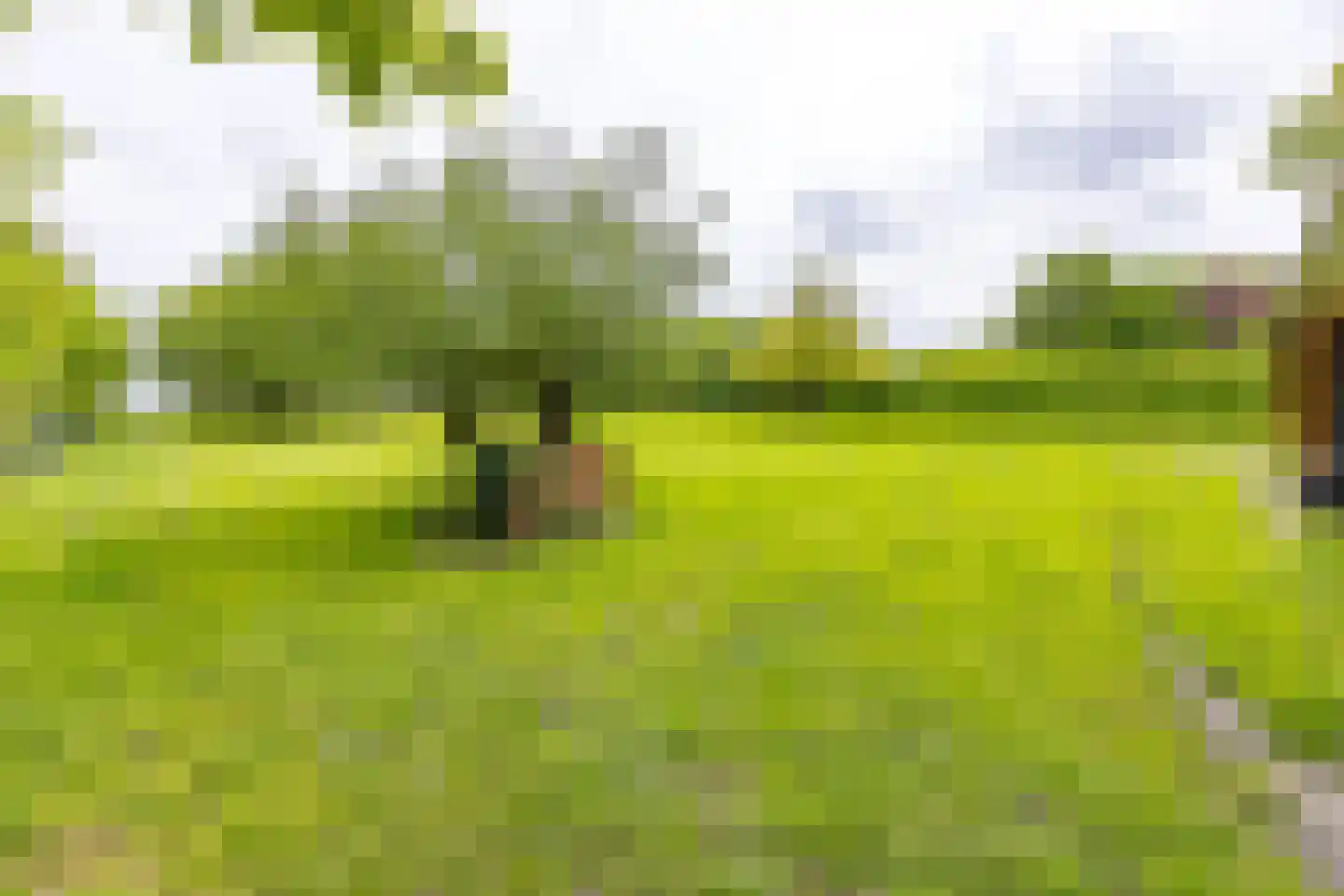 Zuiderdiep 557 Valthermond thumbnail 44