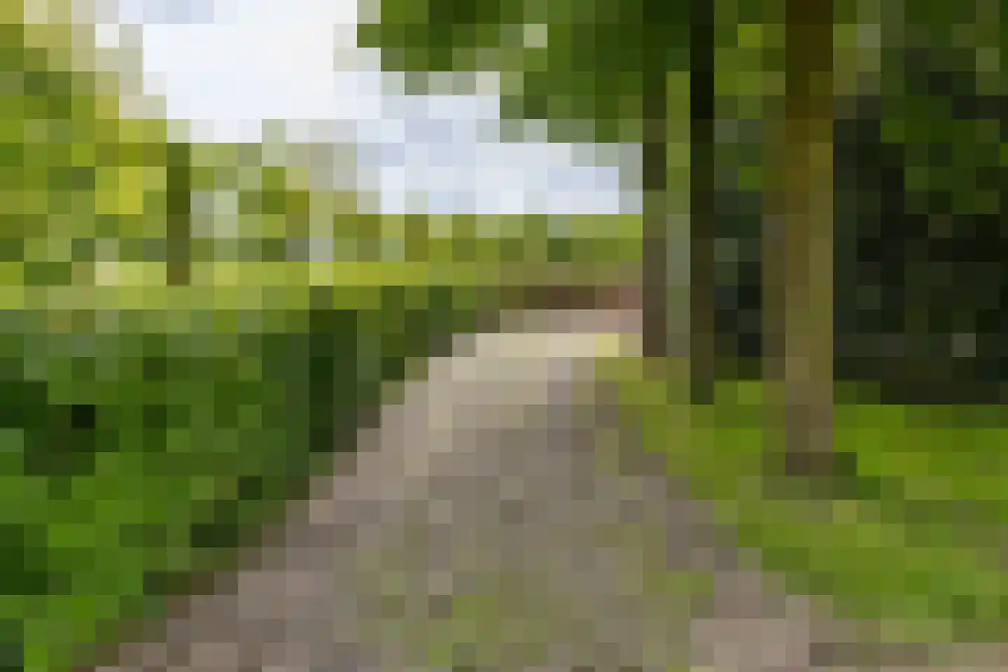 Zuiderdiep 557 Valthermond thumbnail 45
