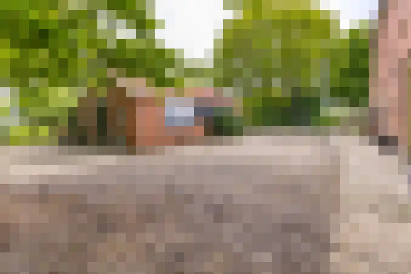 Zuiderdiep 557 Valthermond thumbnail 49