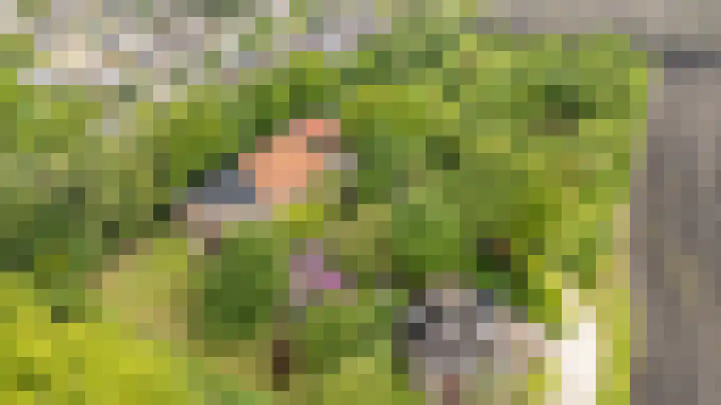 Zuiderdiep 557 Valthermond thumbnail 52