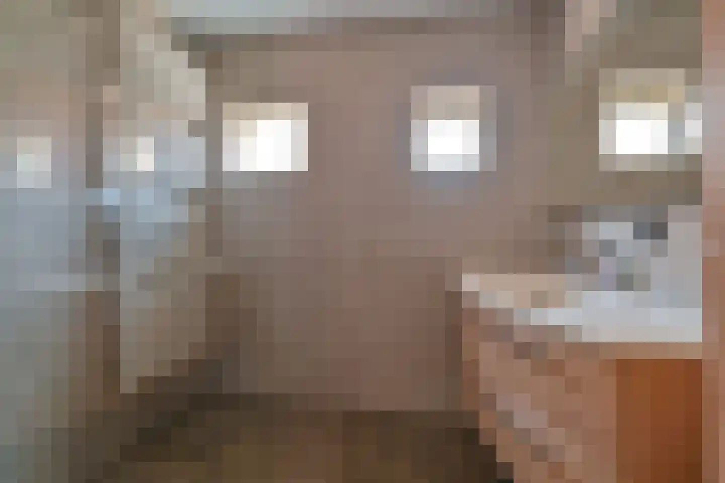 Zuiderdiep 57 Valthermond thumbnail 37