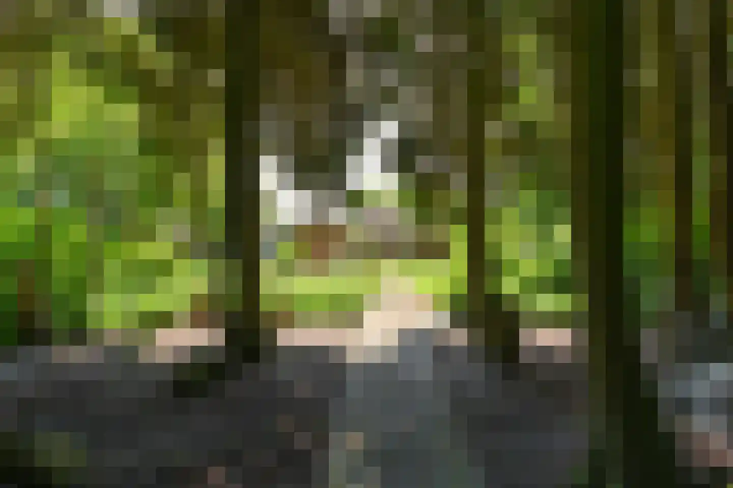 Zuiderdiep 57 Valthermond thumbnail 4
