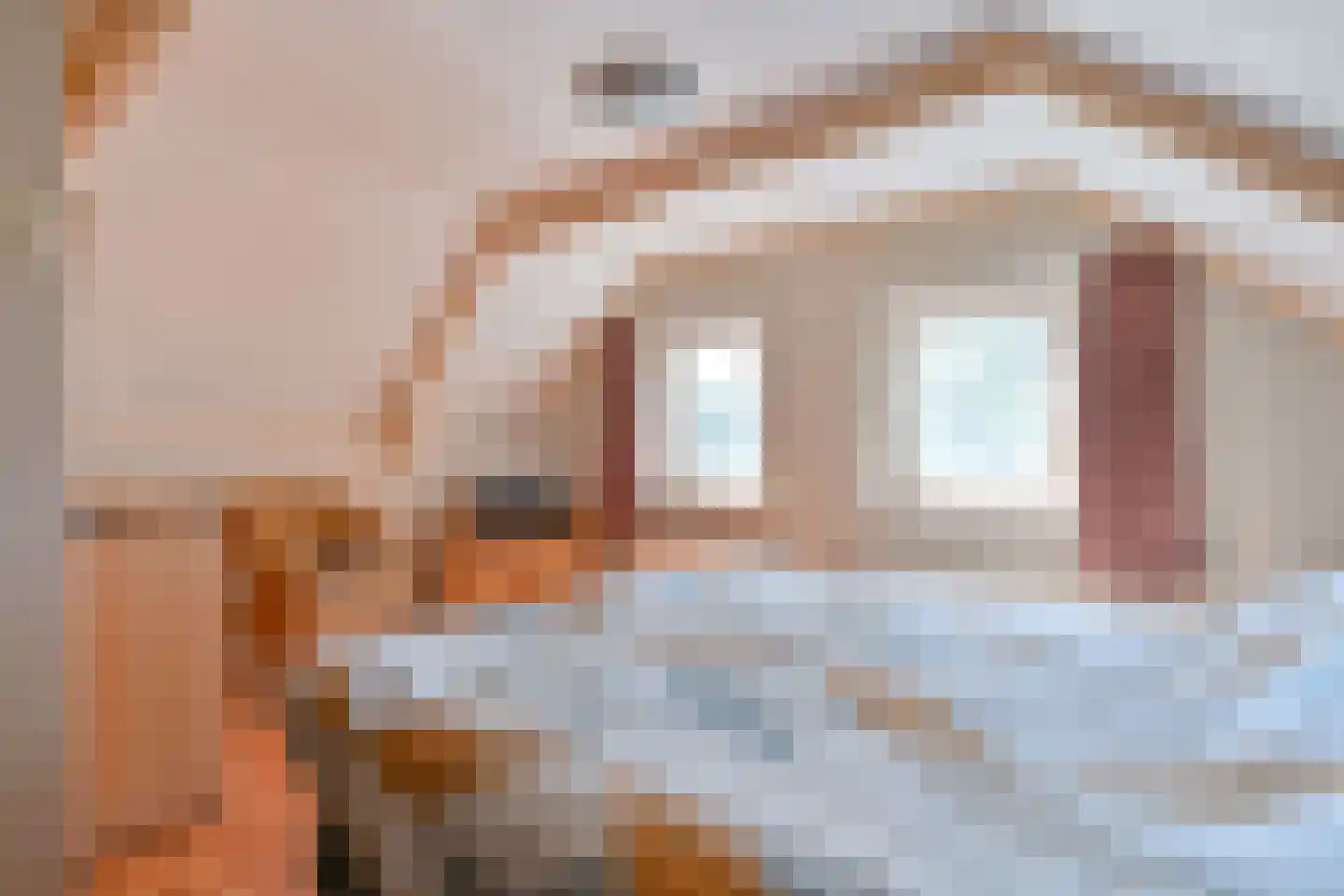 Zuiderdiep 57 Valthermond thumbnail 48