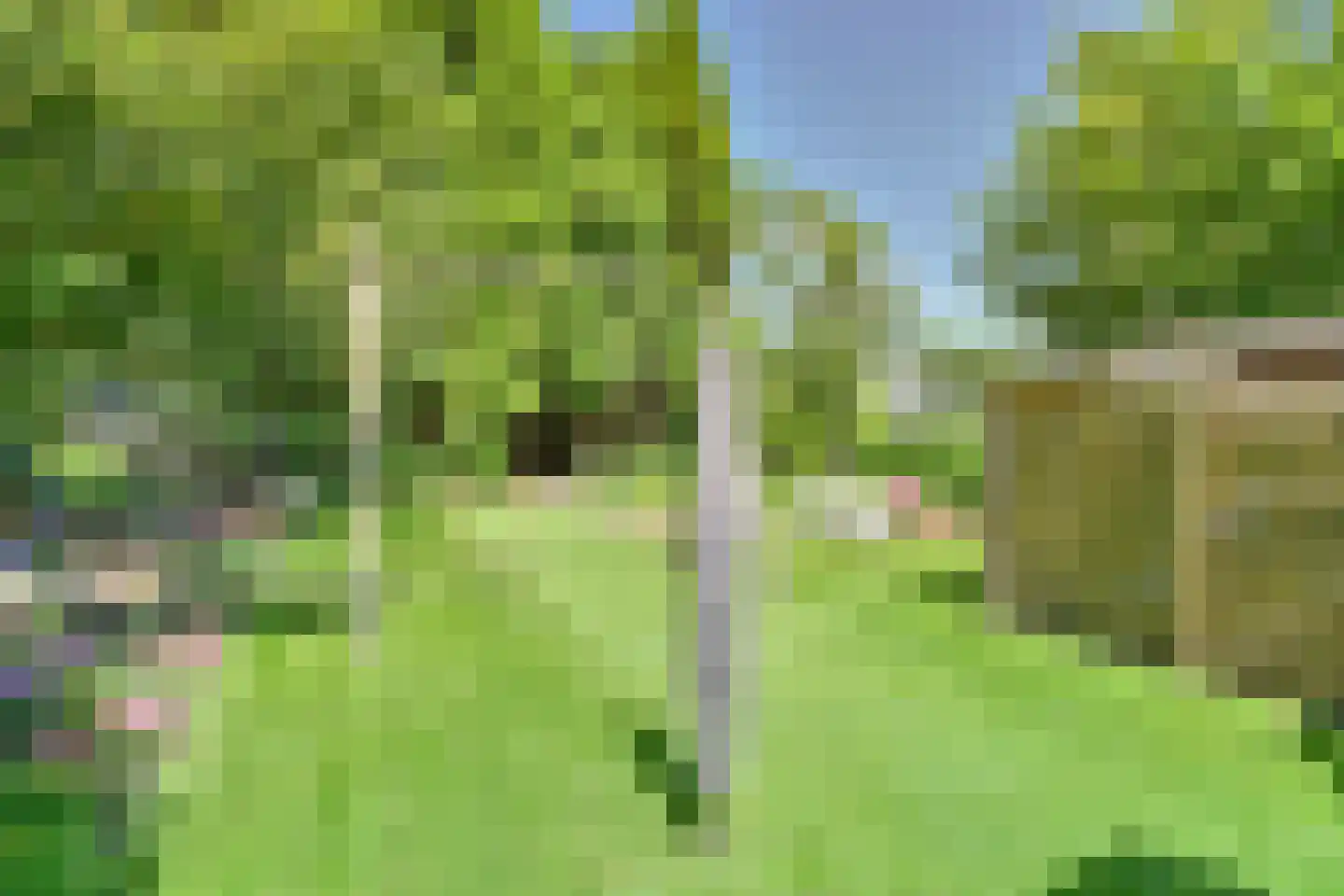 Zuiderdiep 57 Valthermond thumbnail 83