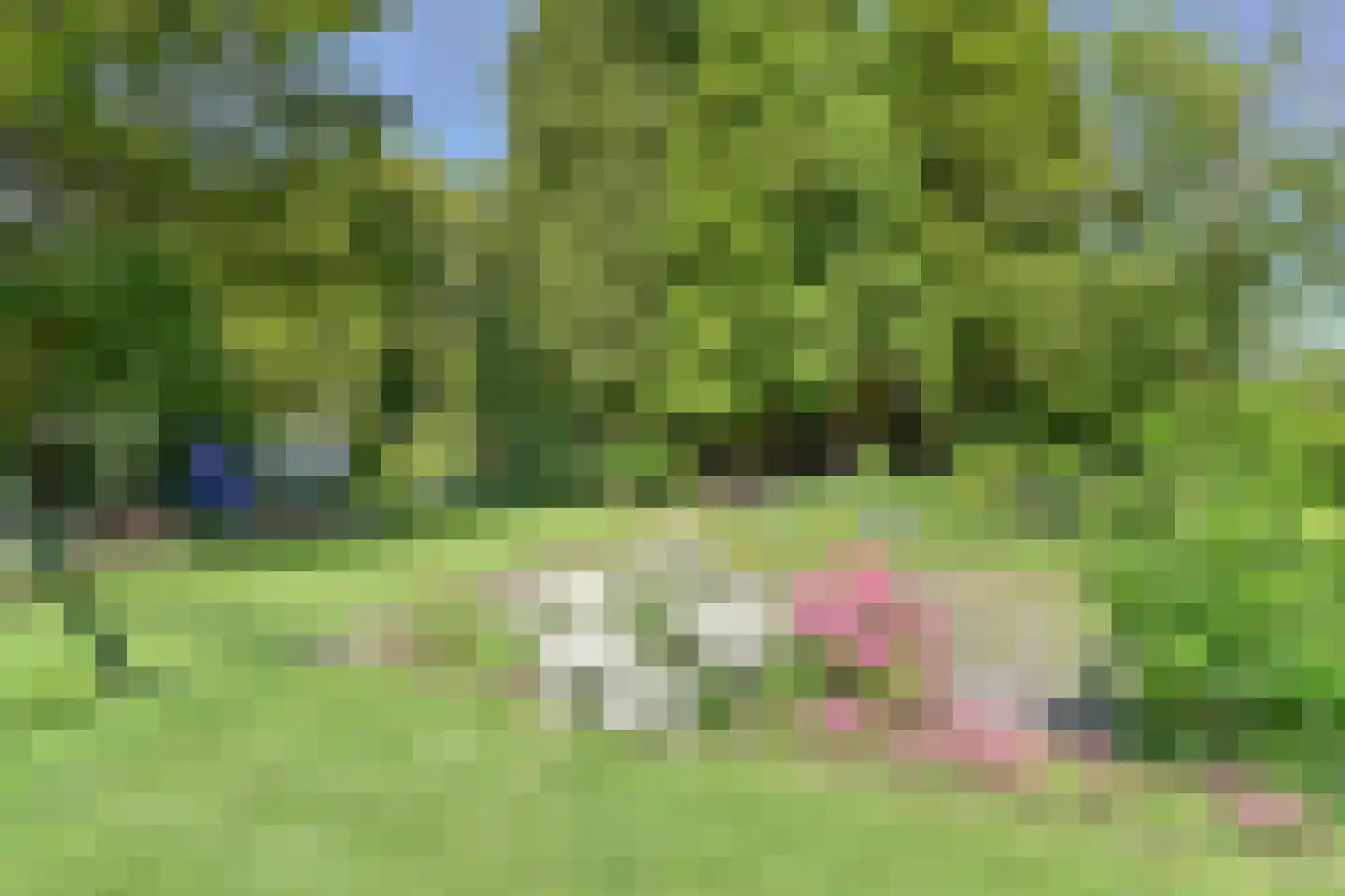 Zuiderdiep 57 Valthermond thumbnail 84