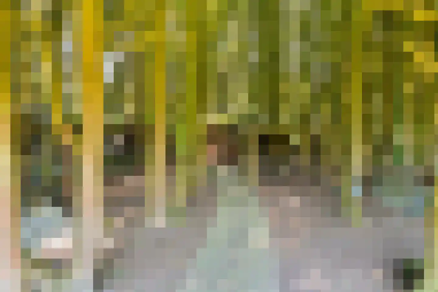 Zuiderdiep 57 Valthermond thumbnail 86