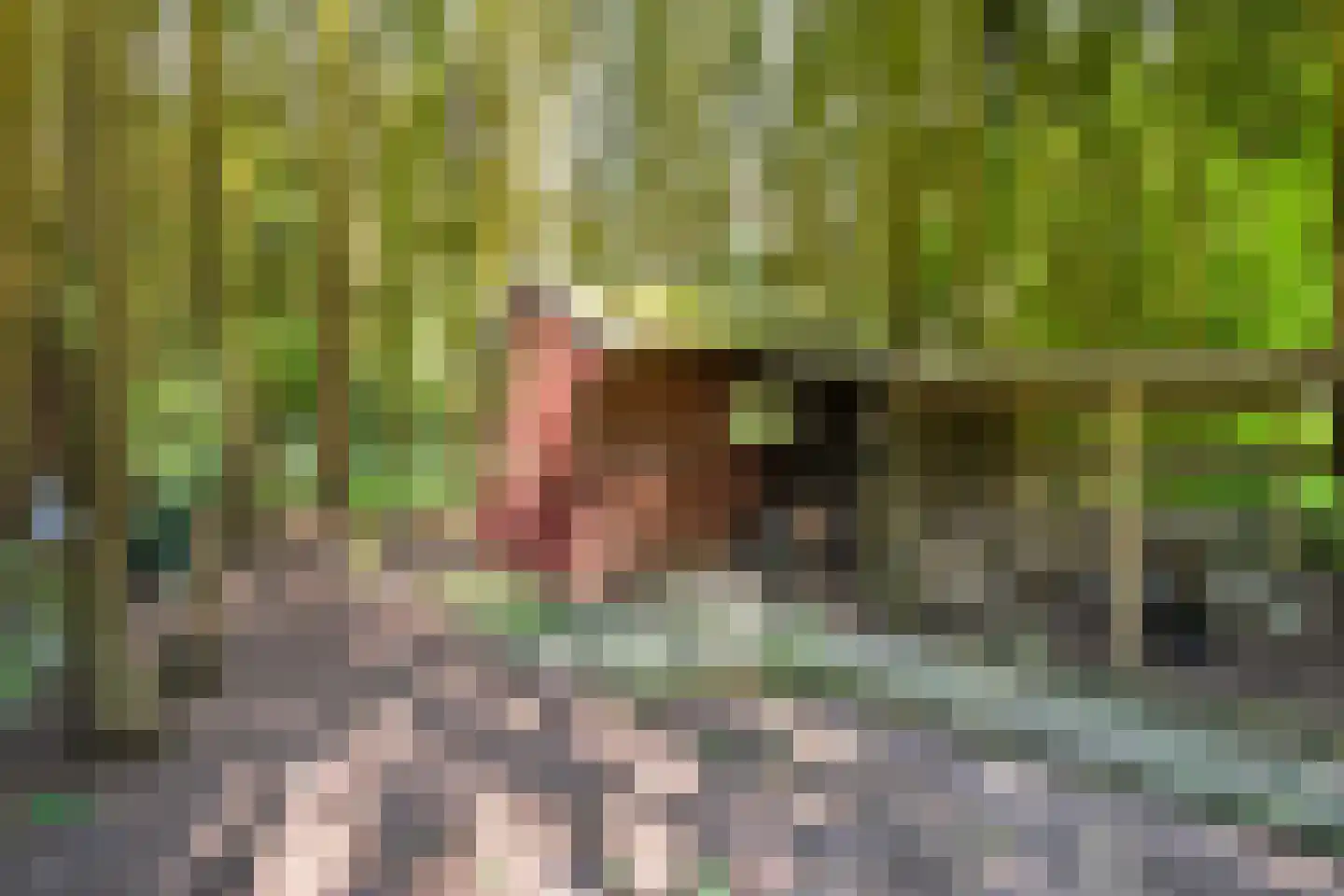 Zuiderdiep 57 Valthermond thumbnail 87