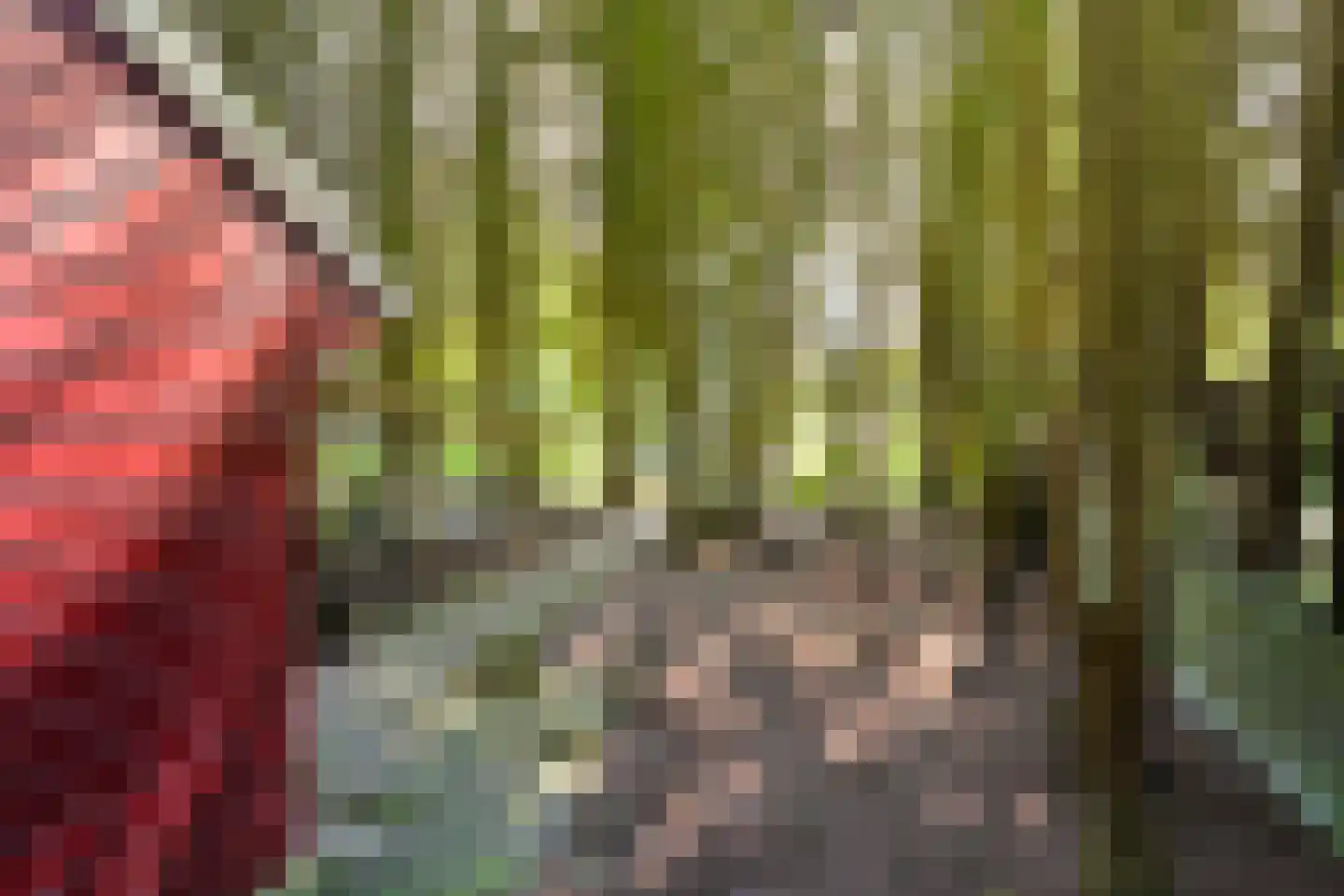 Zuiderdiep 57 Valthermond thumbnail 88